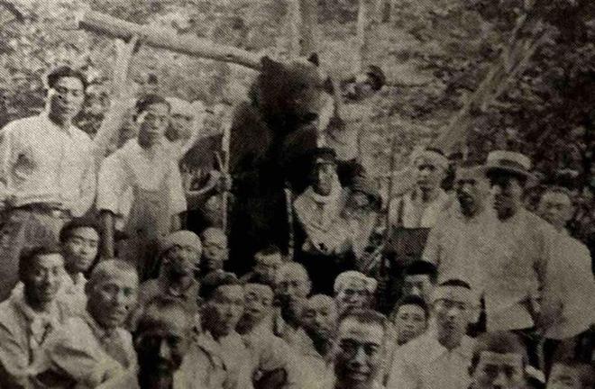 写真　仕留められた熊と人々 （豊丘町『郷土史』）