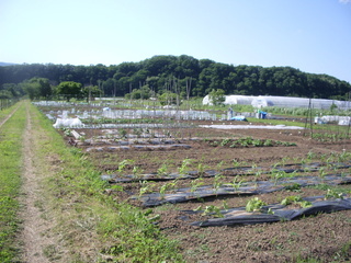 山田市民農園の光景1
