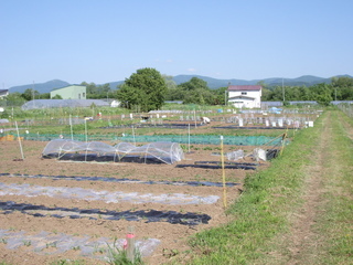 山田市民農園の光景2