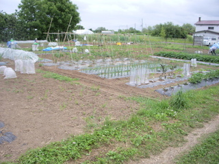 山田市民農園の光景4
